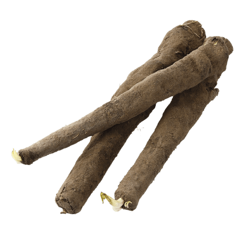 Root of Bomax 1 lbs